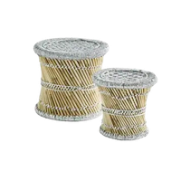 Set 2 Krukjes Pampas Met Zilverkleurige Zitting