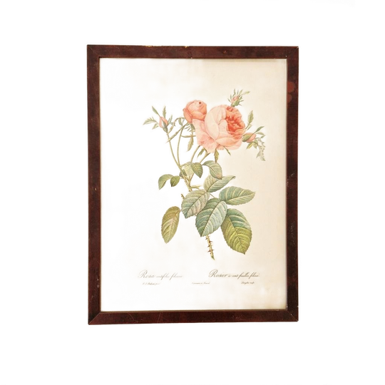 Vintage Rozen Schilderijtje Met Druk Prent 1