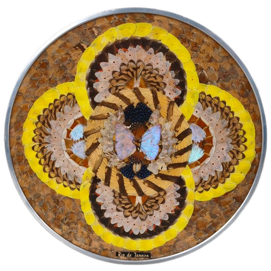 Braziliaanse Decoratie Met Vlinders 1