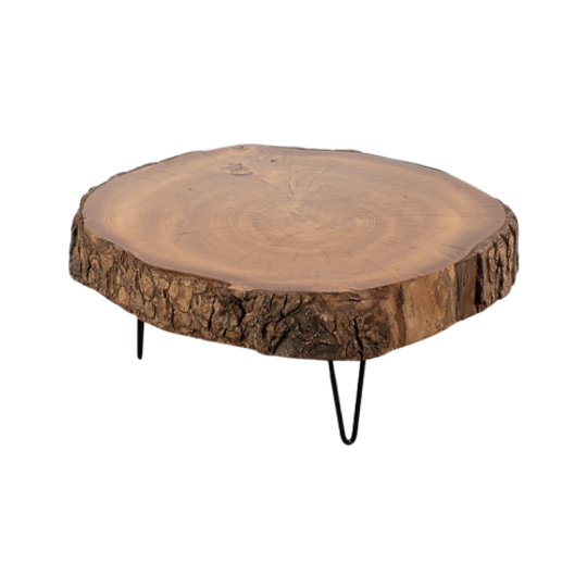 Boomstamtafel Met Nieuwe Luspoten 70861 1