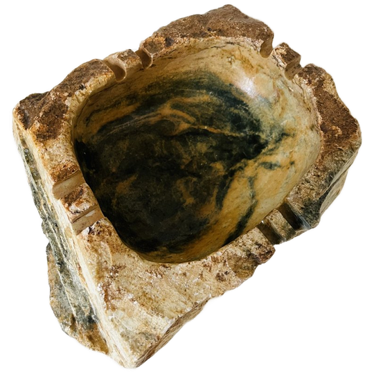 Schaal Versteend Hout 1