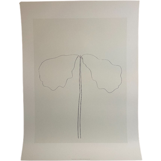 Ellsworth Kelly (1923-2015), Chêne, 1964 1