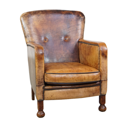 Unieke En Karaktervolle Oude Schapenleren Fauteuil/armchair Met Bijzondere Kleuren 1