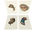 Vic Buys - 4 Grafieken Van Dieren thumbnail 1