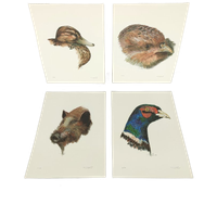 Vic Buys - 4 Grafieken Van Dieren