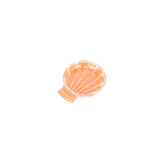 Small Shell 1