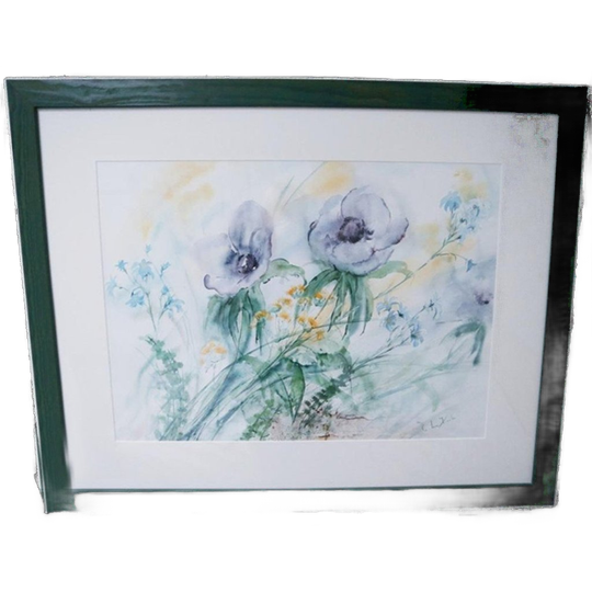Aquarel Anemoon Van C. Ten Kaate=ineke Ten Kaate - Zonder Schade ! 1
