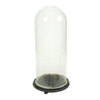 Antieke Stolp Globe Mondgeblazen Glas Begin 20ste Eeuw 46cm thumbnail 1
