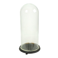 Antieke Stolp Globe Mondgeblazen Glas Begin 20ste Eeuw 46cm