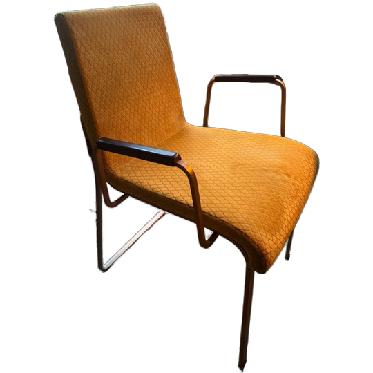 DUTCHBONE Eetkamer Stoelen - Oker Geel 1