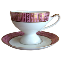 Prachtige Vintage Jaren 60 Kop En Schotel Mayer Wiesau Bavaria In Roze En Goud