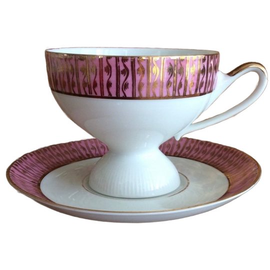 Prachtige Vintage Jaren 60 Kop En Schotel Mayer Wiesau Bavaria In Roze En Goud 1