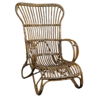 Gepatineerde Rotan Belse 8 Fauteuil Met Hoge Rug, Dutch Design, 1950