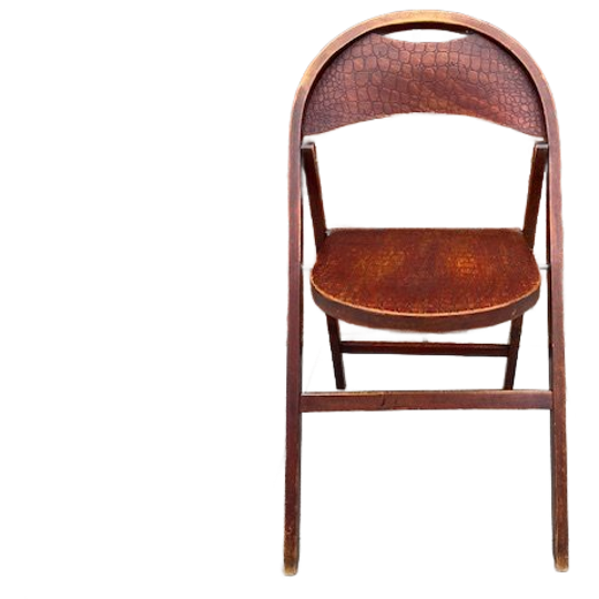 Thonet Cosmos B751 Klapstoel. Zeldzaam Krokodillenreliëf. 1