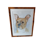 Aquarel J. Van Roey "hond". thumbnail 1
