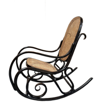 Jaren '60' Michael Thonet Schommel Stoel