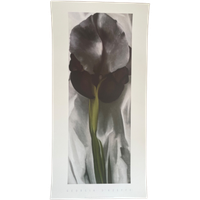 G. O’keeffe (1887-1986), Dark Iris I, 1927,