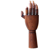 Gelede Houten Hand, Begin 20E Eeuw