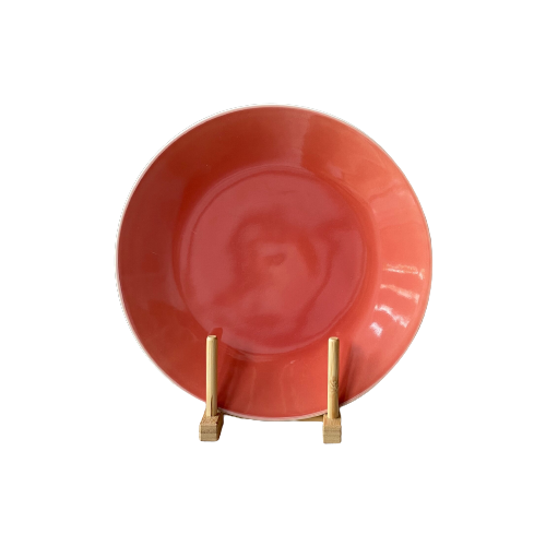 Serveer Schaal - Peach Roze Kleur
