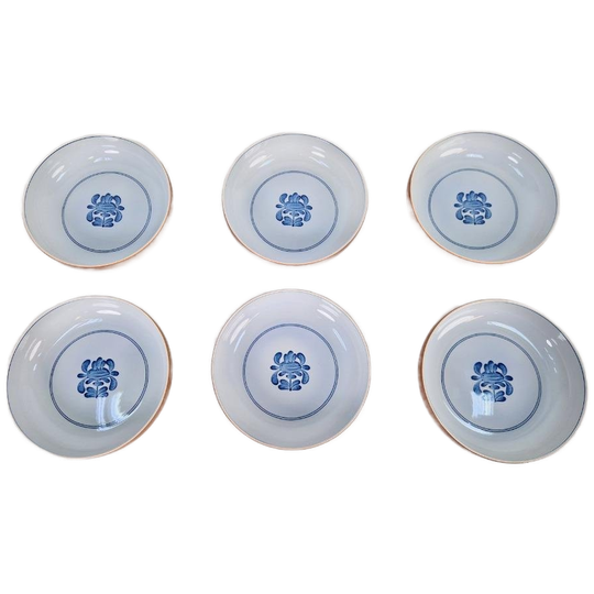 6 X Vintage Villeroy & Boch Chekiang Soepkom Ontbijt Kom ´60 1