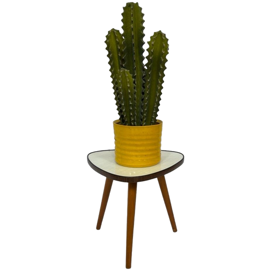 Vintage Plantentafeltje Bijzettafel Driepoot Jaren 60 Design 1