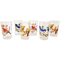 Set Van 6 Limonade Glazen Met Vogel Print Jaren 60 Vintage