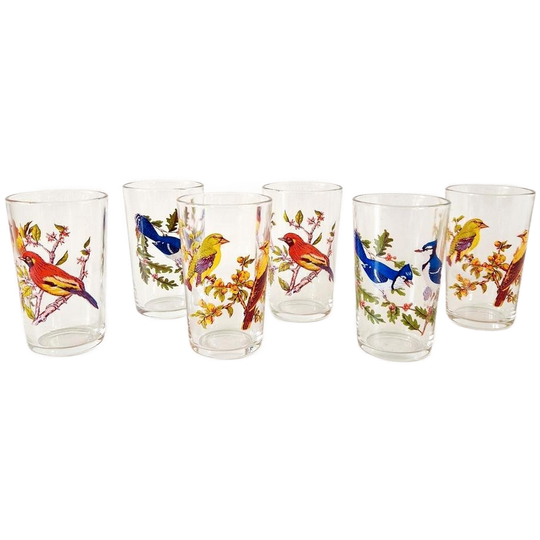 Set Van 6 Limonade Glazen Met Vogel Print Jaren 60 Vintage 1