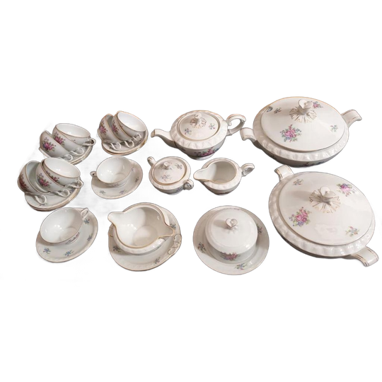 Klassiek Parelmoer Porselein Servies Tsjecho-slowaaks 1