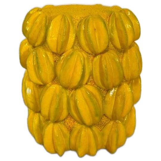 Citroen Carambola Plantentafeltje 1