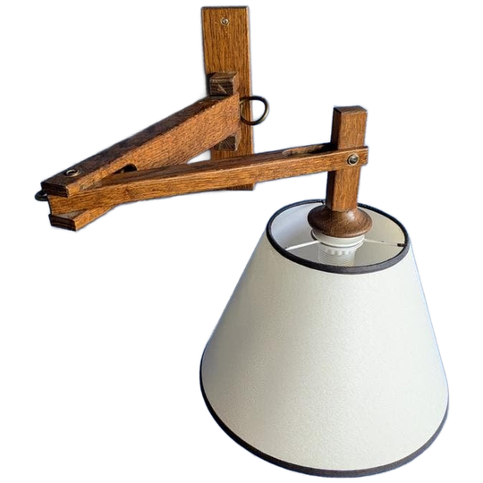 Pauwer wandlampen vintage wandlamp binnen draadkooi wandlampen retro (bevat een testlamp