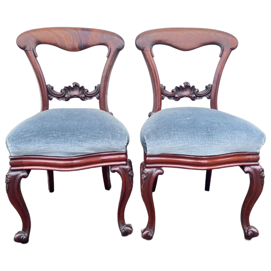 Set Van Twee Antiek Mahonie Stoelen Met Blauwe Stoffering, 47 X 43, Hoog 87 Cm 1