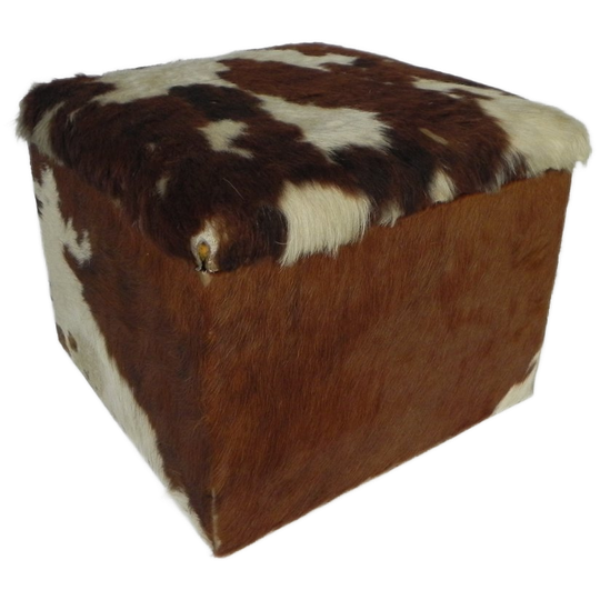 Vintage Poef, Opbergkist Bekleed Met Koeienhuid, Nederland Jaren 50 1