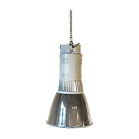 Industriële Fabriekslamp Xl