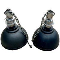 2x Zwarte Industriële Hanglamp