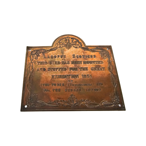 Great Exhibition 1851 Taxidermy Exhibit Plaque - Mme Yvette Coquelot" Uit 1869 - Plaquettes (2) -