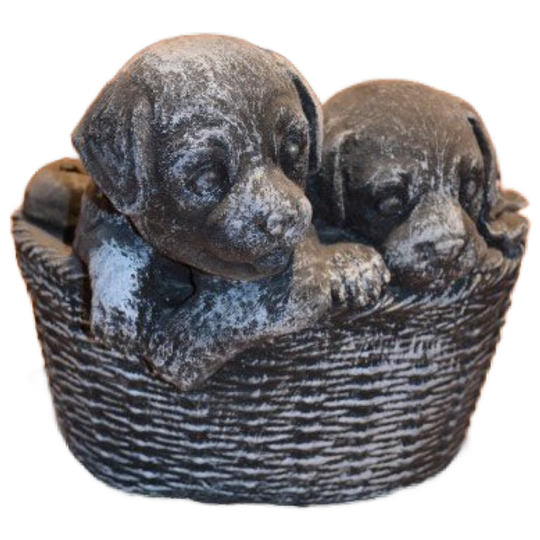 Betonnen Puppy’s In Decoratief Plantenbakje – Leuk Voor Binnen En Buiten 1