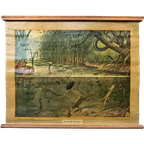 Vintage Linnen Schoolkaart – In Sloot En Plas thumbnail 1
