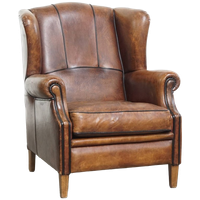 Mooie Oorfauteuil Gemaakt Van Schapenleer Met Sprekende Kleuren En Met Zwarte Biezen