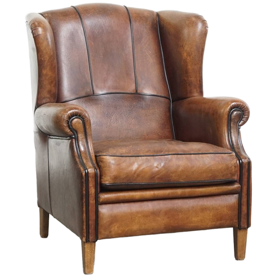 Mooie Oorfauteuil Gemaakt Van Schapenleer Met Sprekende Kleuren En Met Zwarte Biezen 1