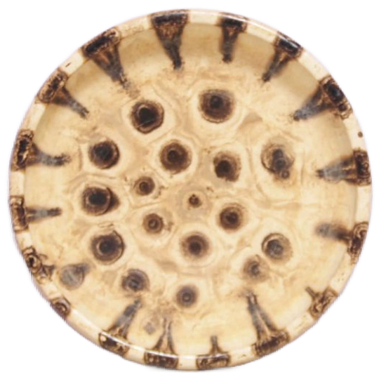 Beige Ronde Schaal Stippen 1