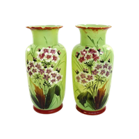Vazen Opaline Groen Bloemen