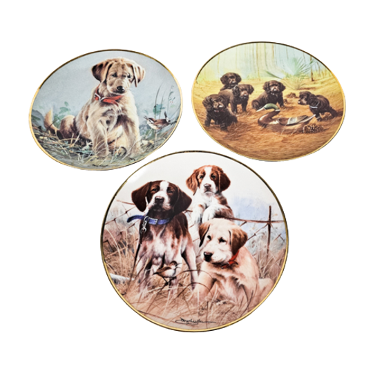 Franklin Mint - Design By James Killen - Limited Edition - (set) 3 - Team Practice - 80's 1