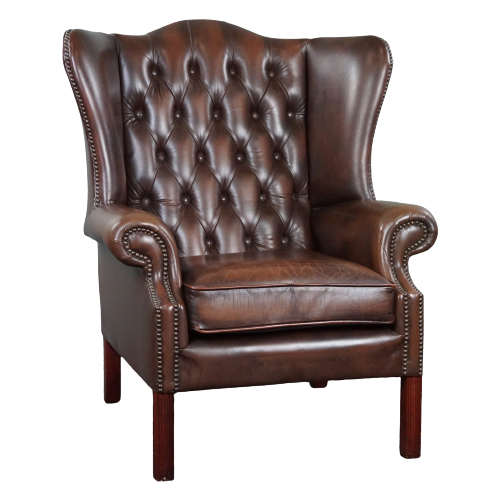 Waanzinnig Gekleurde Chesterfield Oorfauteuil, Wingchair