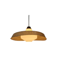 Vintage Fiberglas Bakeliet Lamp Van Louis Kalff Voor Philips