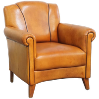 Mooie Schapenleren Design Armchair Met Een Luxe Afwerking Met Donkerbruine Biezen