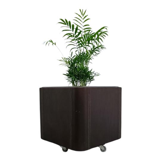 De Sede Lederen Bloembak Ds47 Serie 1