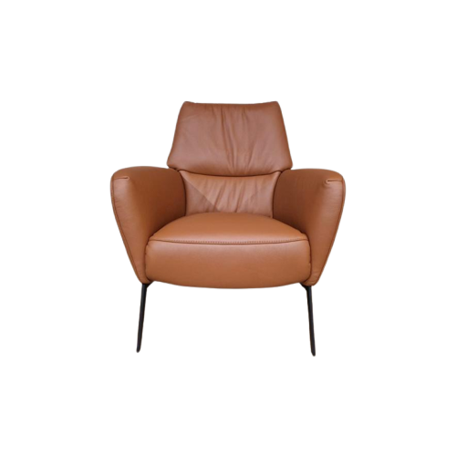 Nieuw - Prominent E-101 Fauteuil - Bruin - Leder - Design