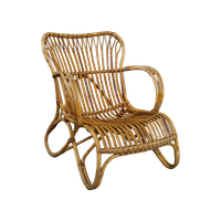 Rotan Dutch Design Belse 8 Fauteuil, 1950