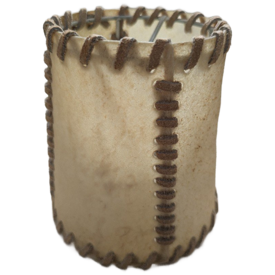 Lampenkapjes Van Varkensblaas 1