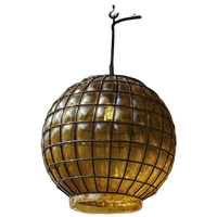 Philips Npd 134 Caged Glass Pendant, Hanglamp